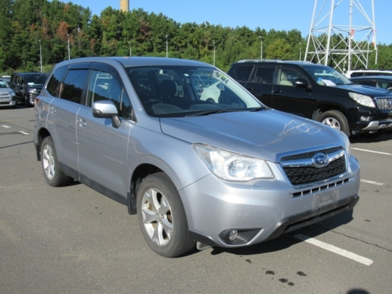 FORESTER-9