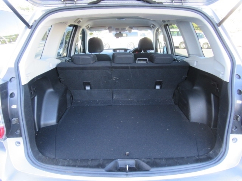 FORESTER-16