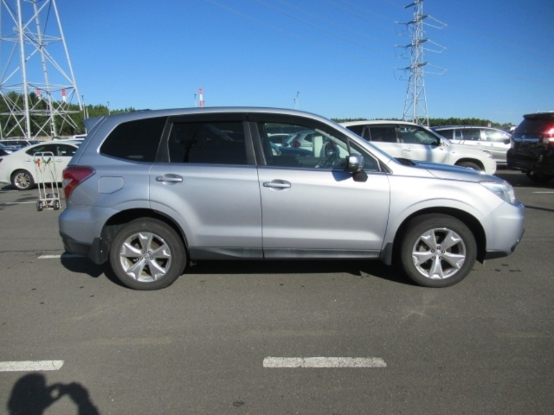 FORESTER-3