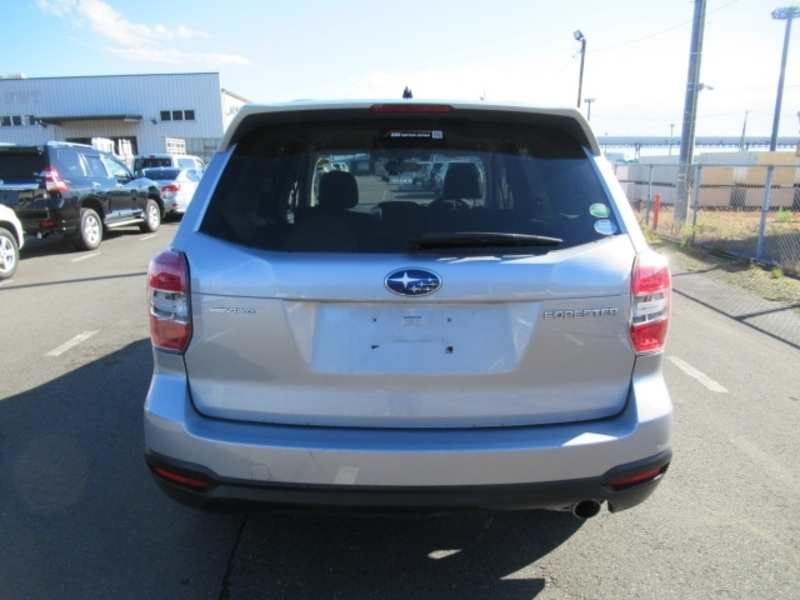 FORESTER-1