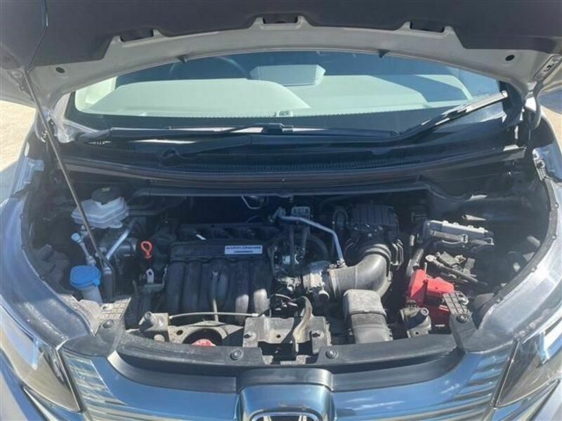 FREED HYBRID-29