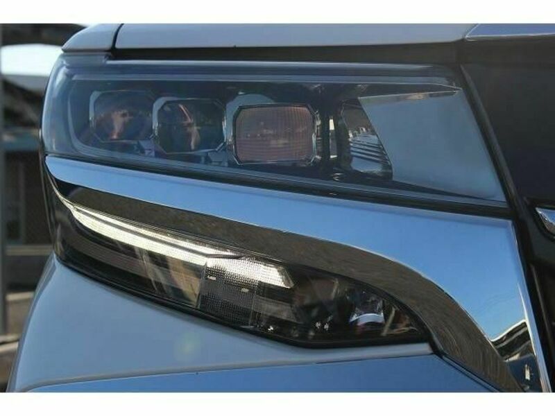 ALPHARD-10