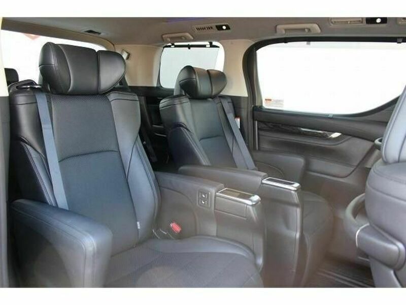 ALPHARD-13