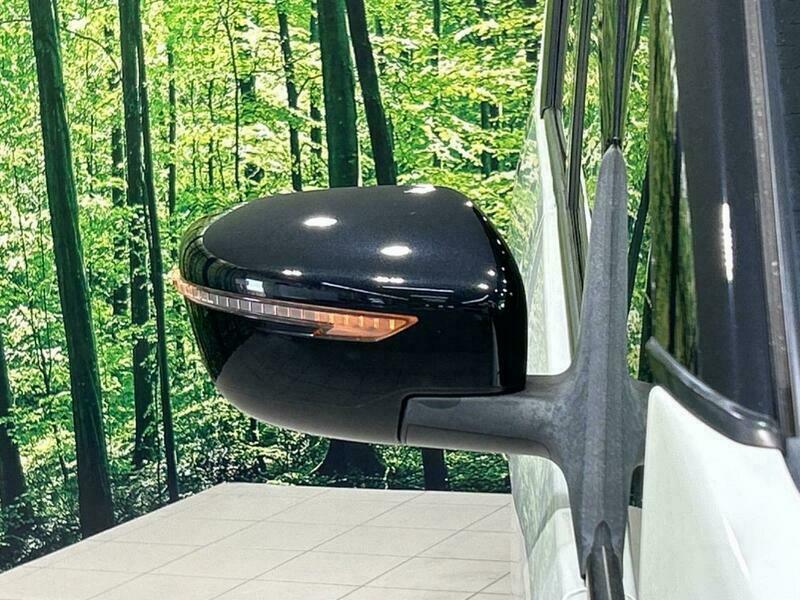 SERENA-40