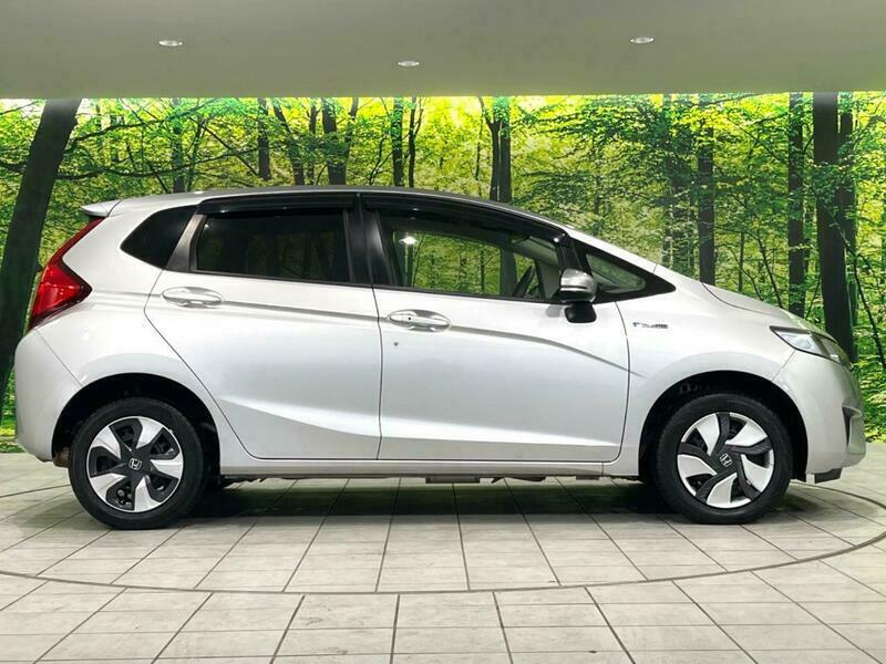 FIT HYBRID-41