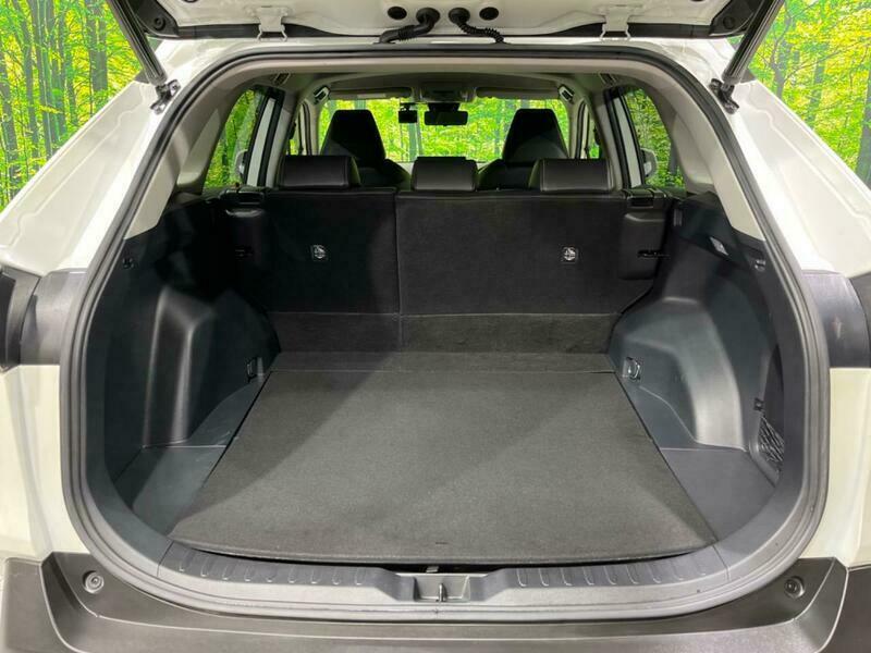 RAV4-65