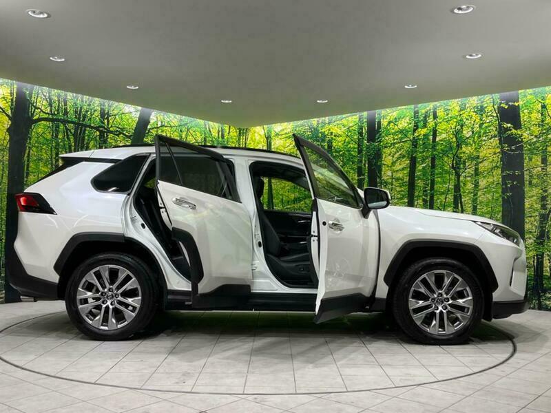 RAV4-73