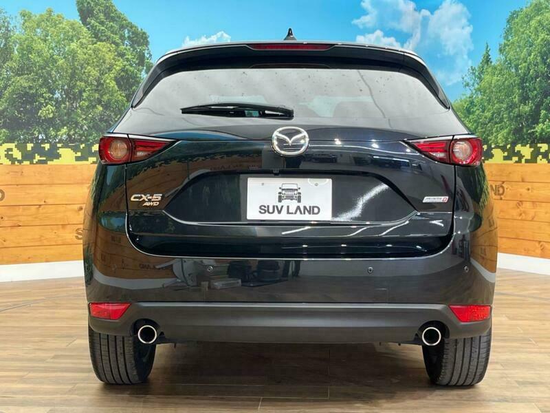 CX-5-19