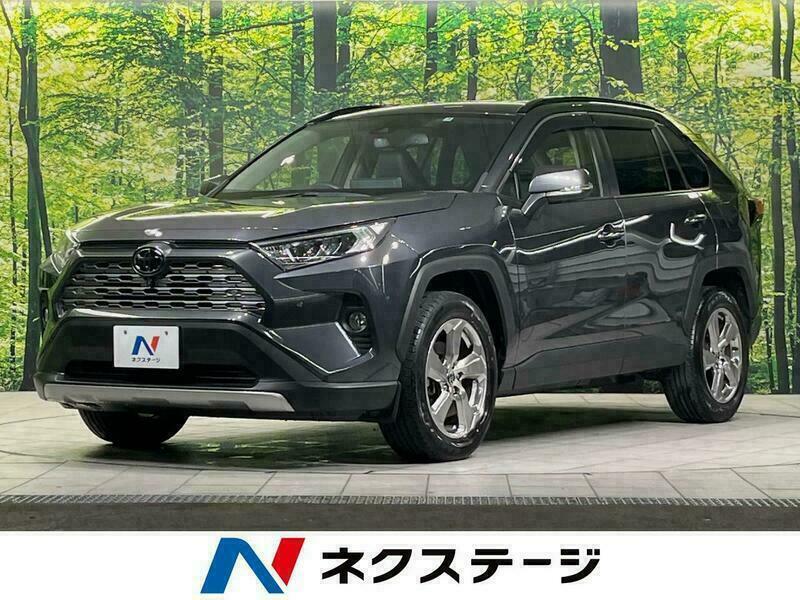 RAV4-10