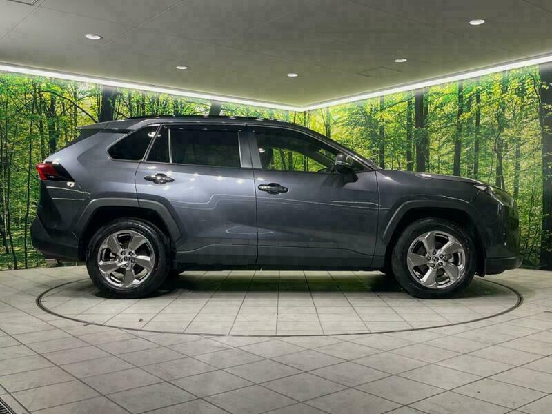 RAV4-19