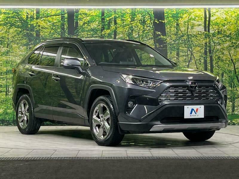 RAV4-31