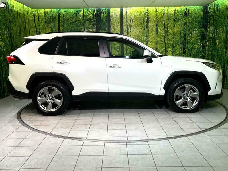 RAV4-1