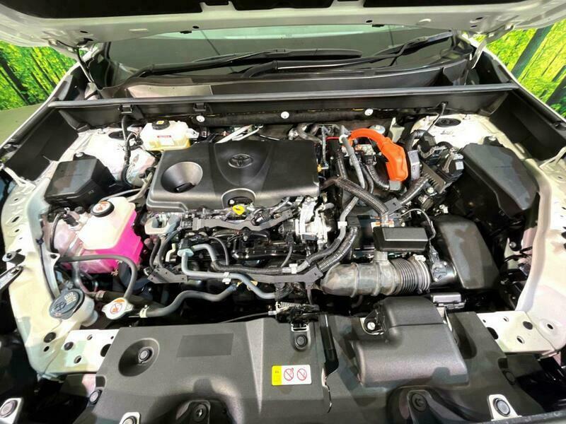 RAV4-65