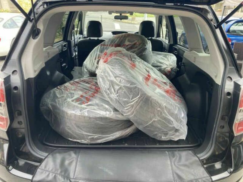 FORESTER-3
