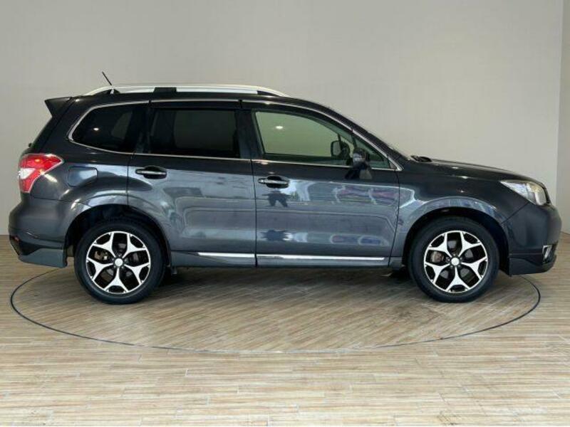 FORESTER-17