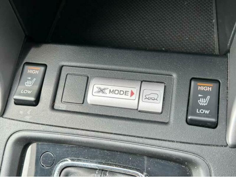 FORESTER-11