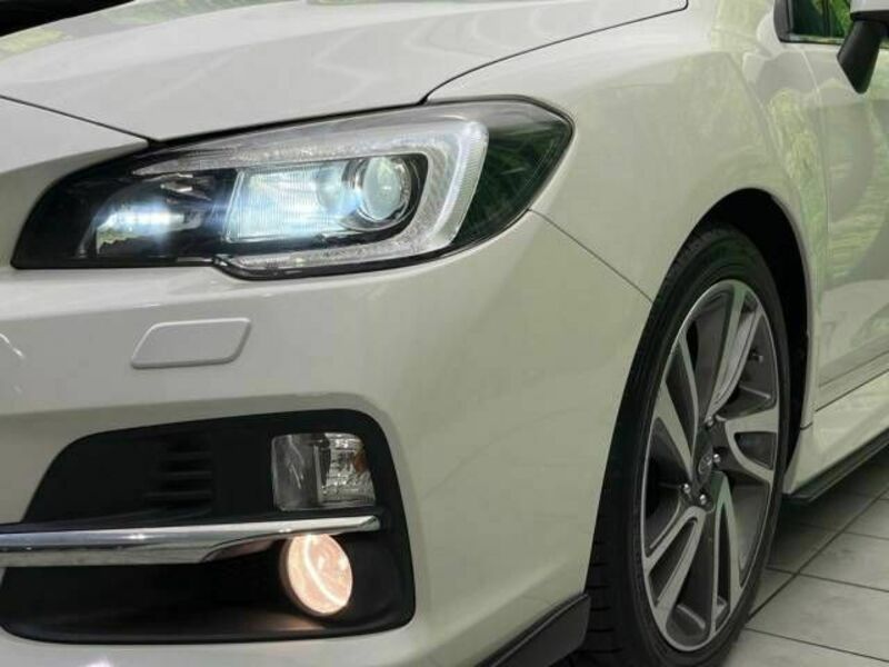 LEVORG-12