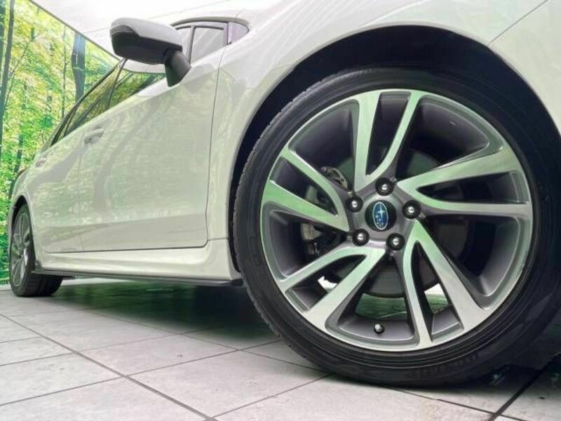 LEVORG-13
