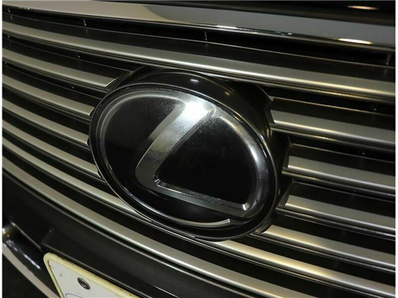LS-12