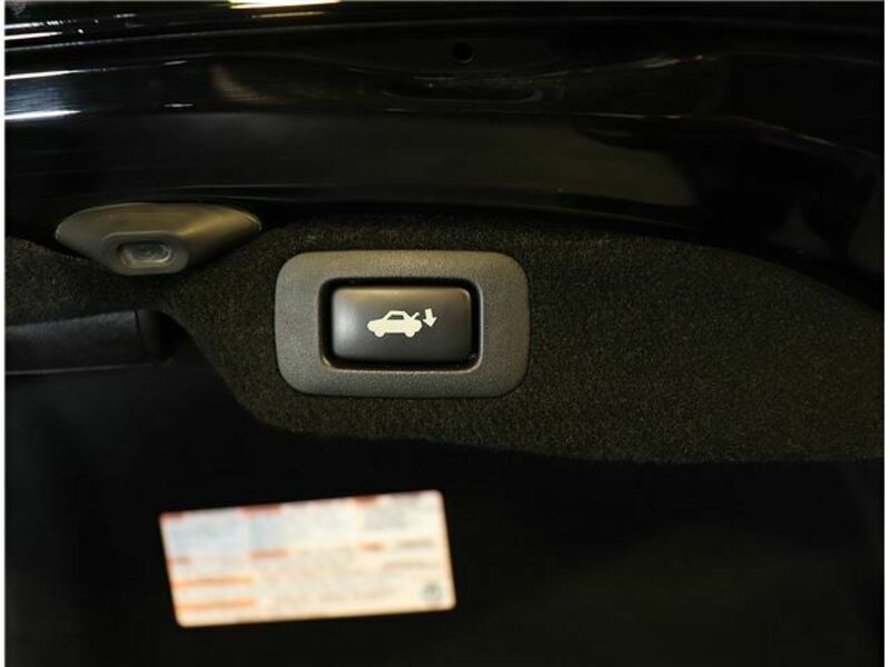 LS-41