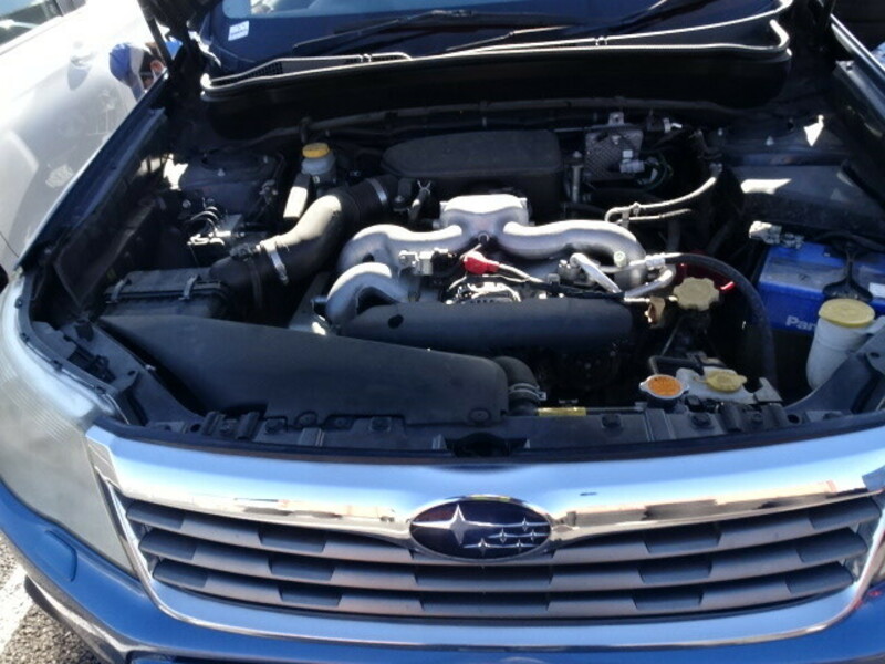 FORESTER