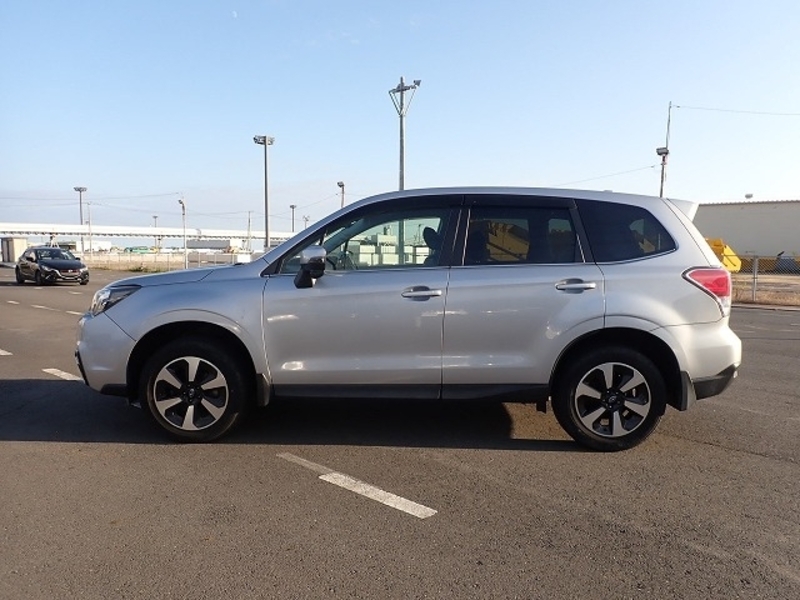 FORESTER