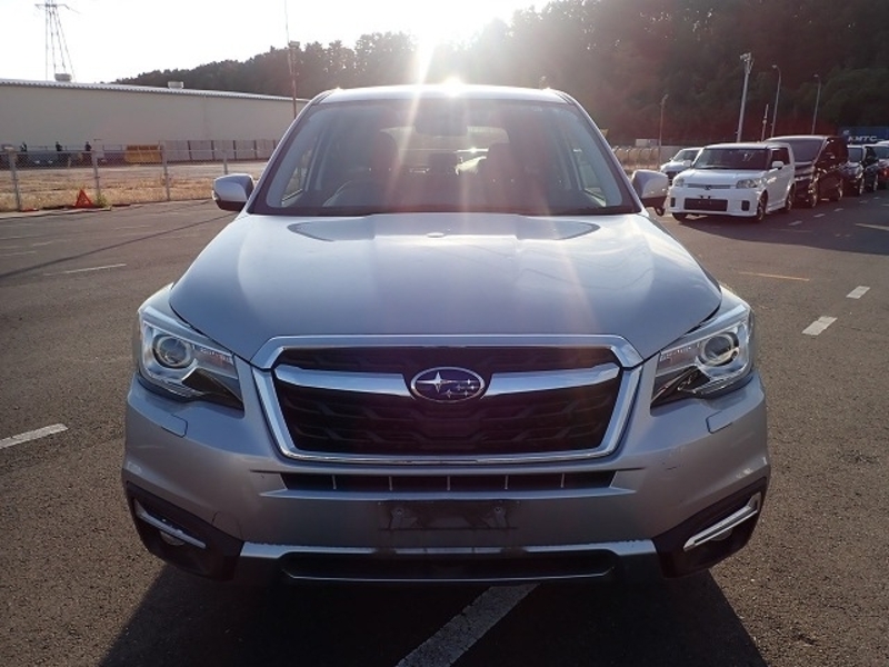 FORESTER
