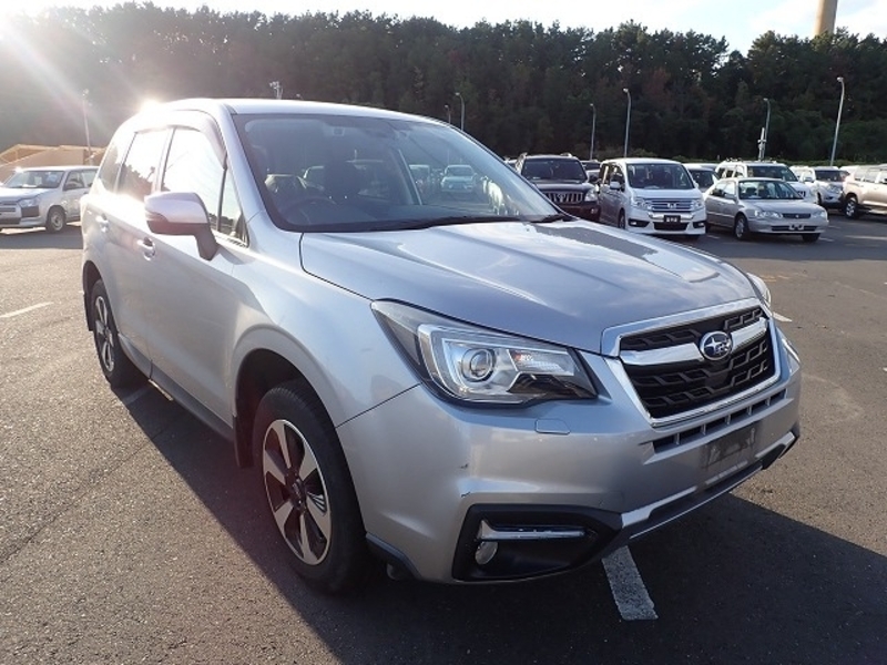 FORESTER