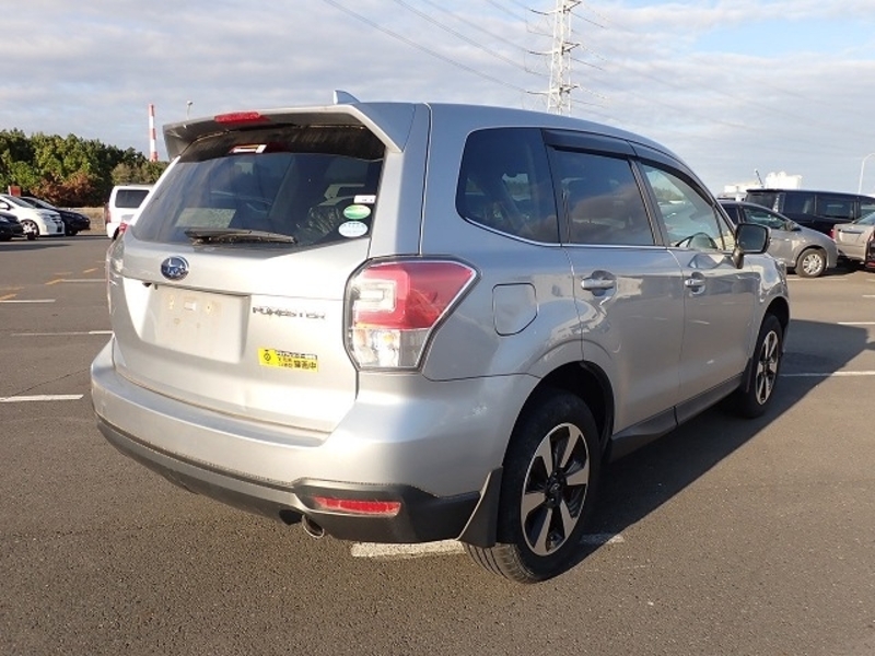 FORESTER