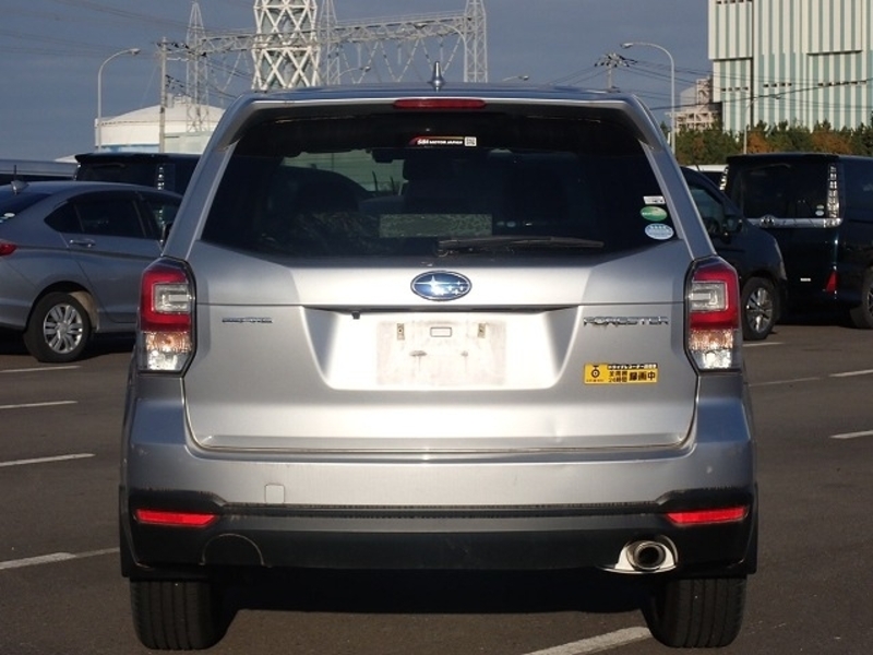FORESTER