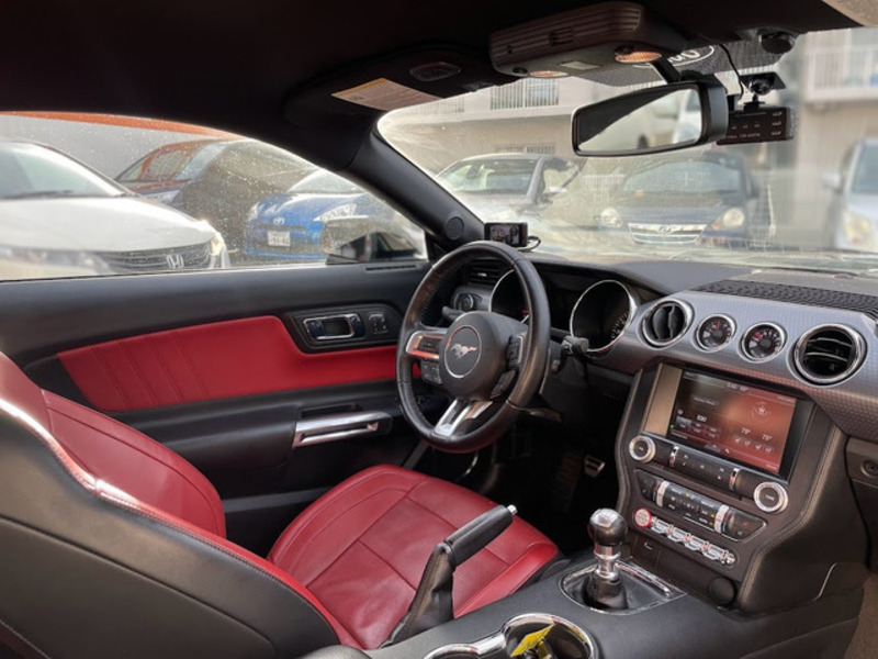 MUSTANG