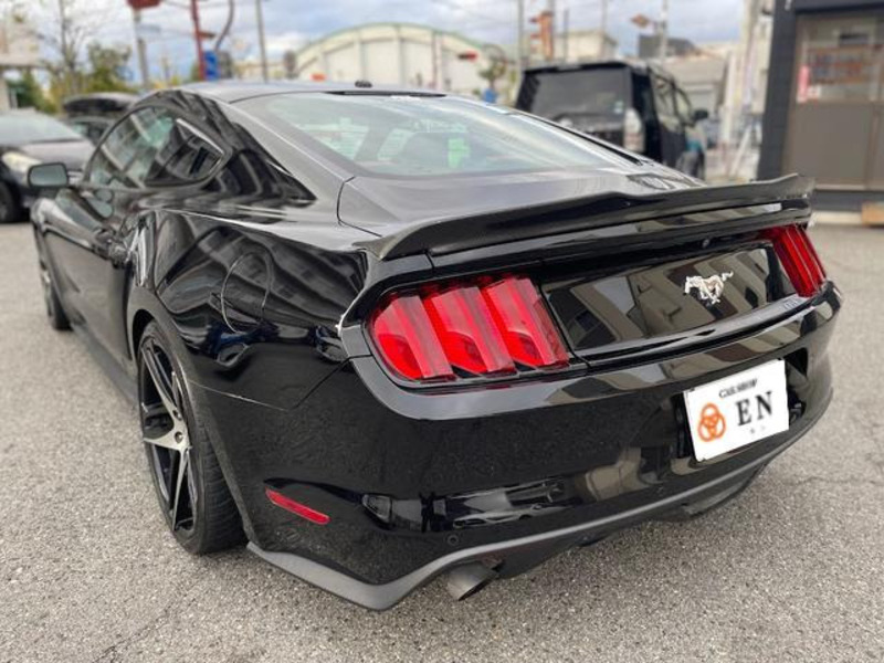 MUSTANG