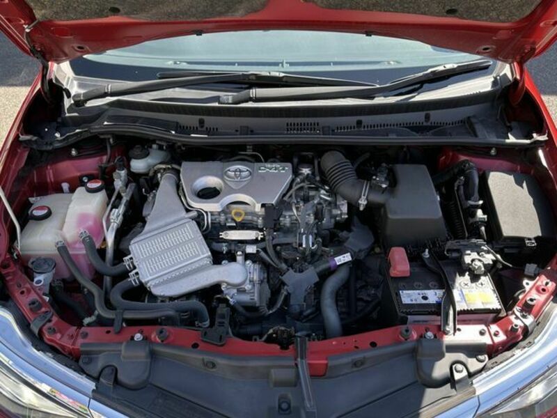 AURIS