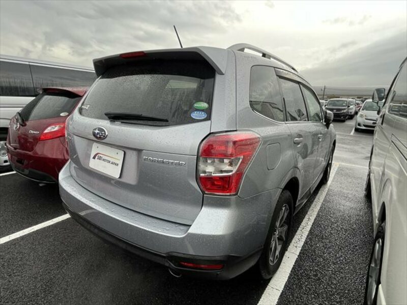 FORESTER