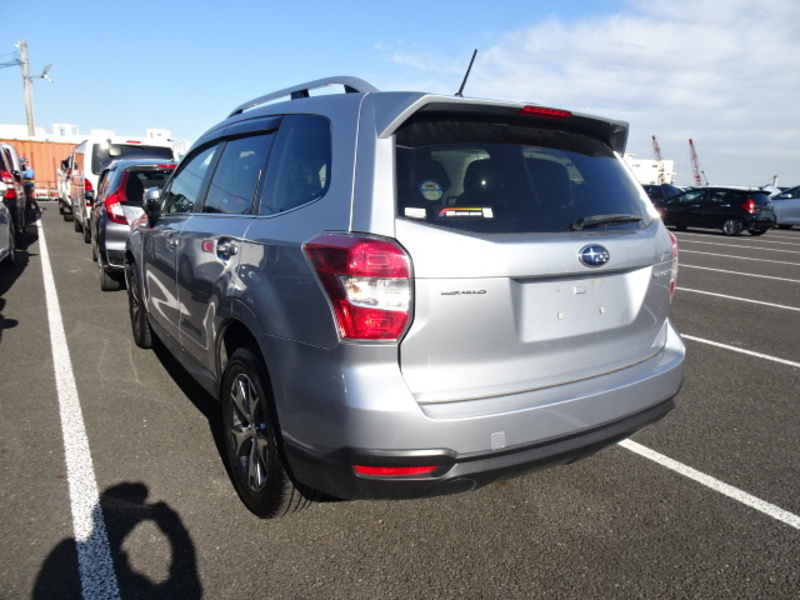 FORESTER