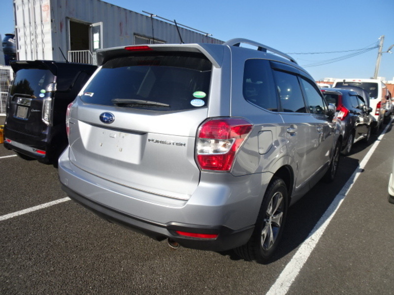 FORESTER