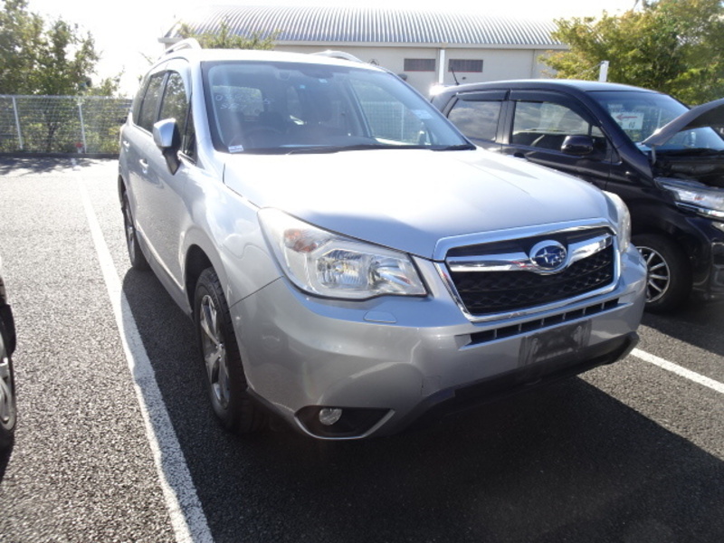 FORESTER