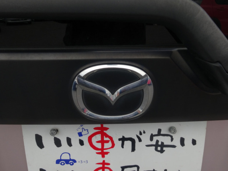 FLAIR WAGON