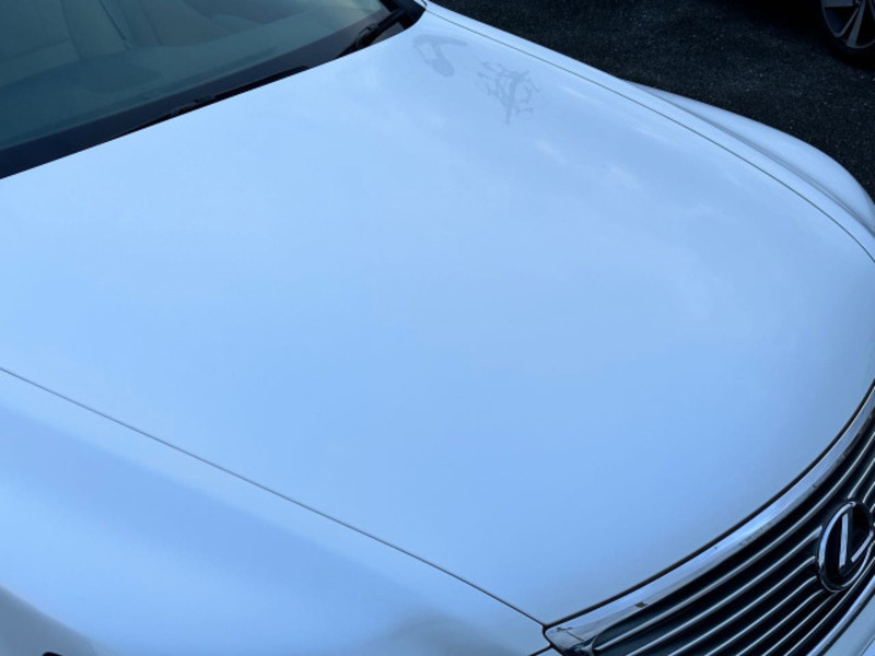 LS