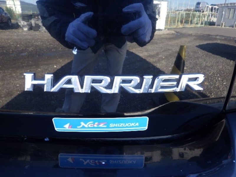 HARRIER