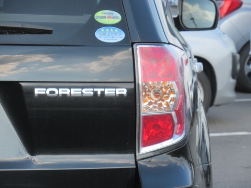 FORESTER