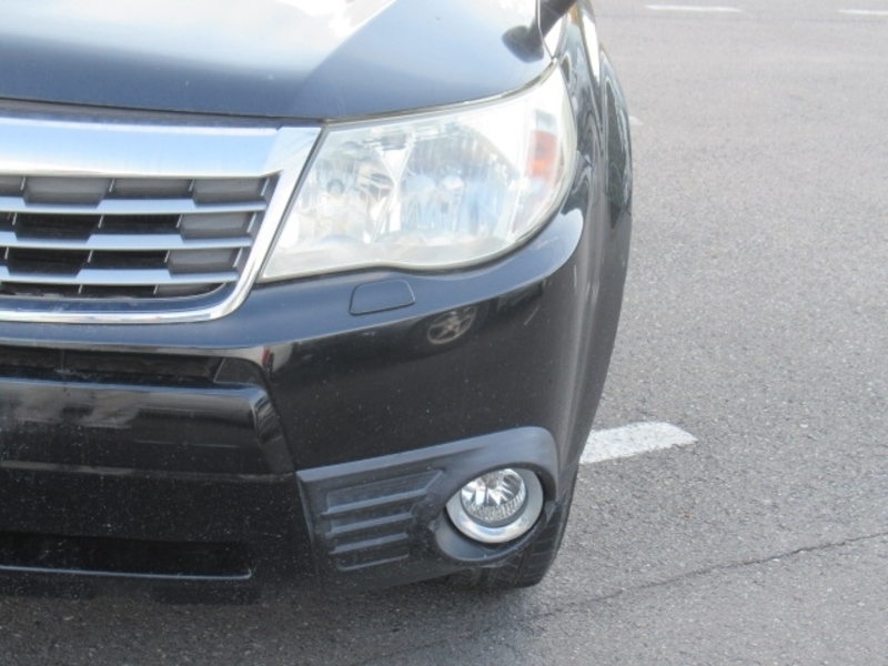 FORESTER
