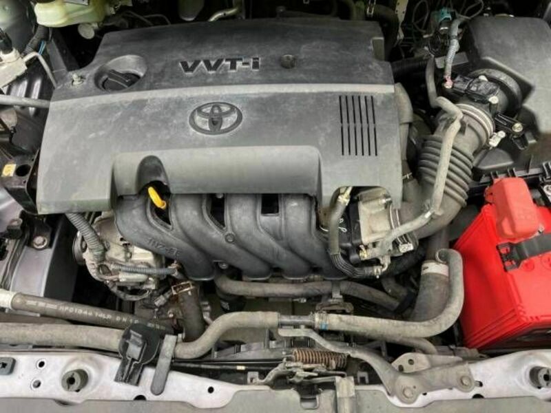 AURIS