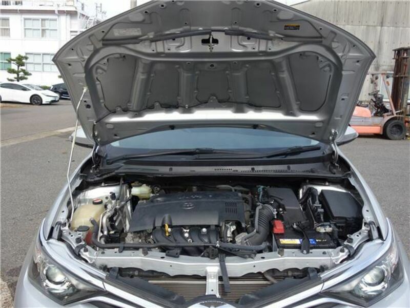 AURIS