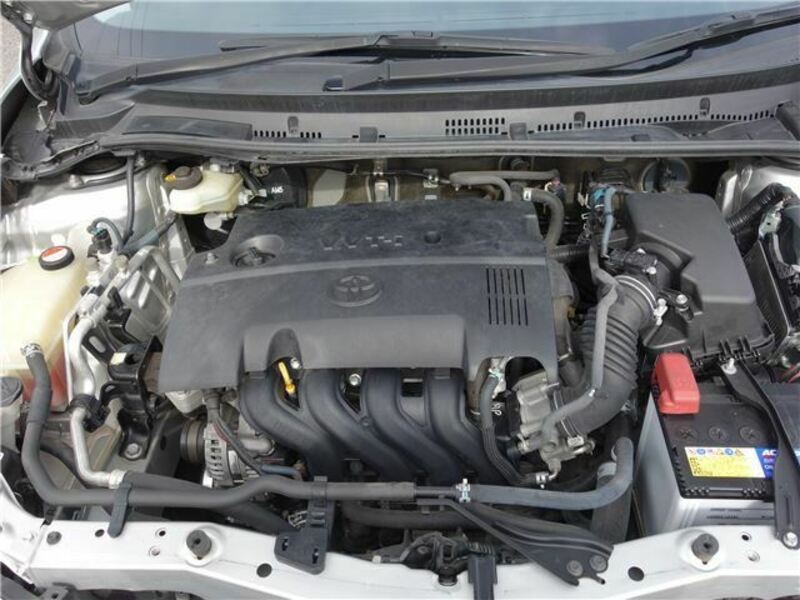 AURIS
