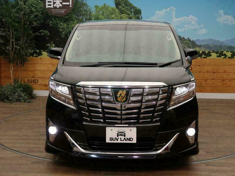 ALPHARD-16