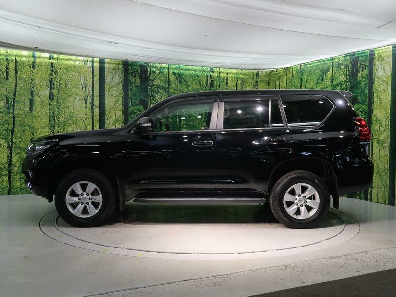 LAND CRUISER PRADO-19