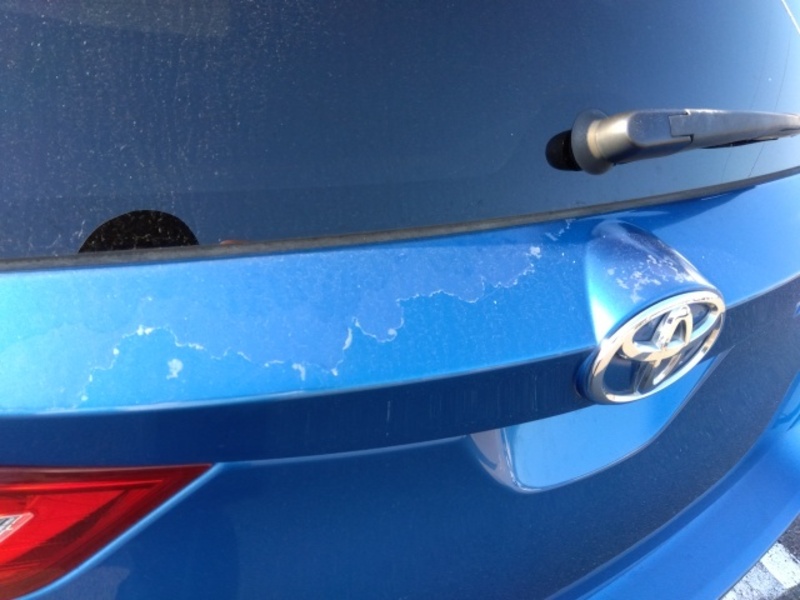 AURIS