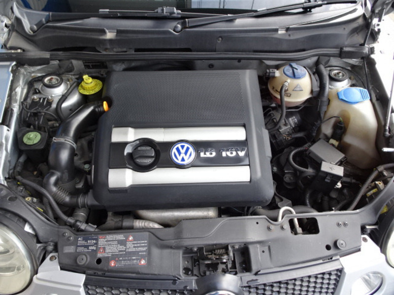 LUPO