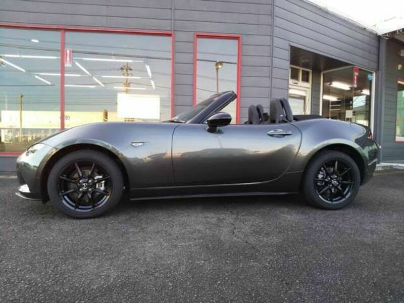 ROADSTER